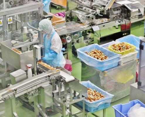 Oportunidade de Emprego na Musashino em Shizuoka