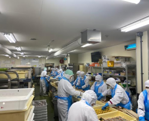 Vaga de Emprego em Kanagawa-Ken, Sagamihara-Shi